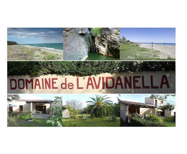 Domaine de L'Avidanella