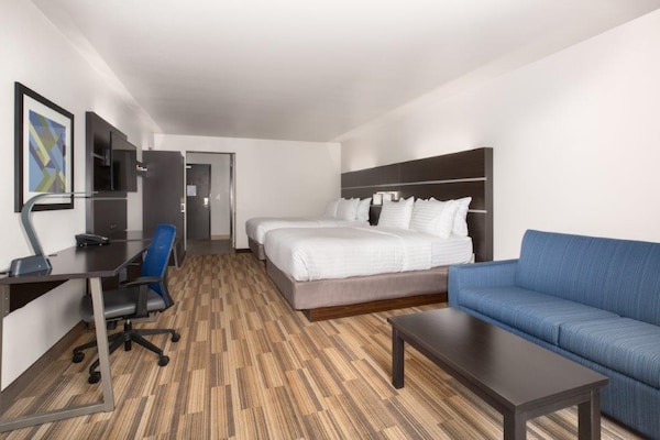 Holiday Inn Express & Suites - Rapid City - Rushmore South, An Ihg Hotel