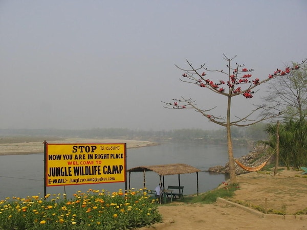 Jungle Wildlife Camp