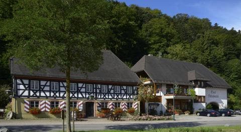 Hotel Schwarzwaldgasthof Schlossmühle