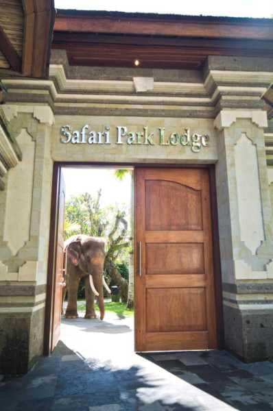 Hotel Elephant Safari Park Lodge