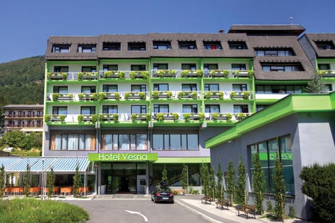 Terme Topolsica - Hotel Vesna