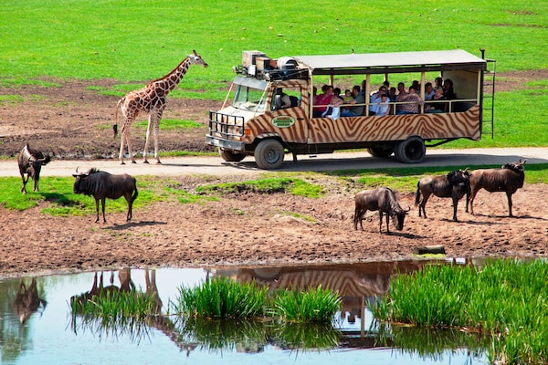 Serengeti Park Resort