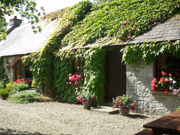 Charming Old-world Country Cottage, Near Adare