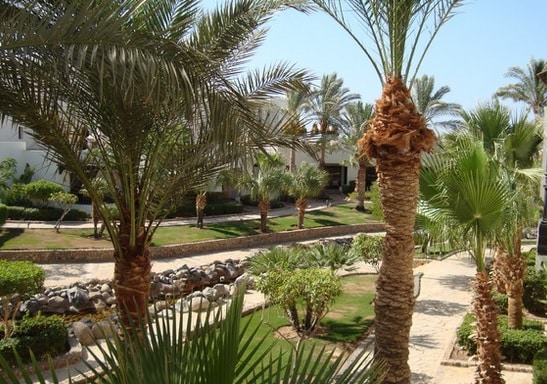 Hotel Sharm Plaza