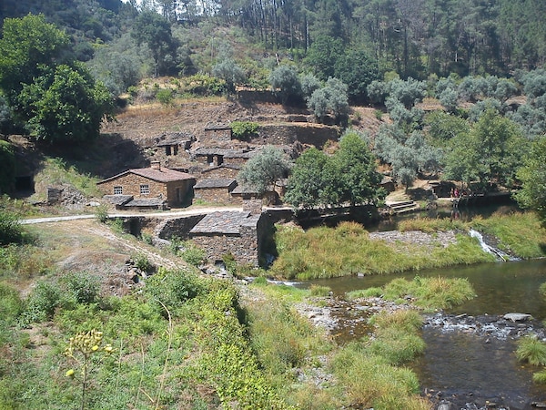 Quinta Do Rio Alva