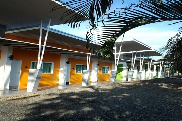 The Palm Village