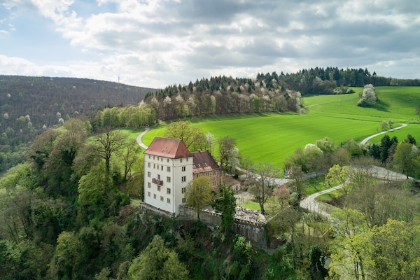 Schloss Neuburg