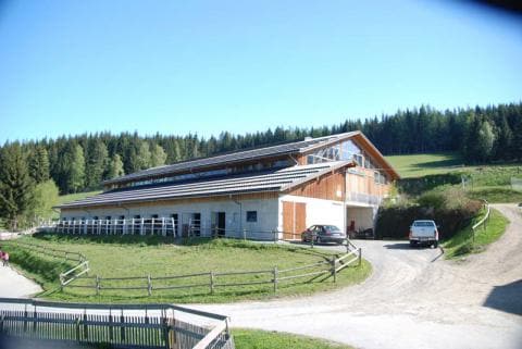 Familienhotel und Reiterparadies Ponyhof