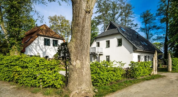 Haus Buhneneck