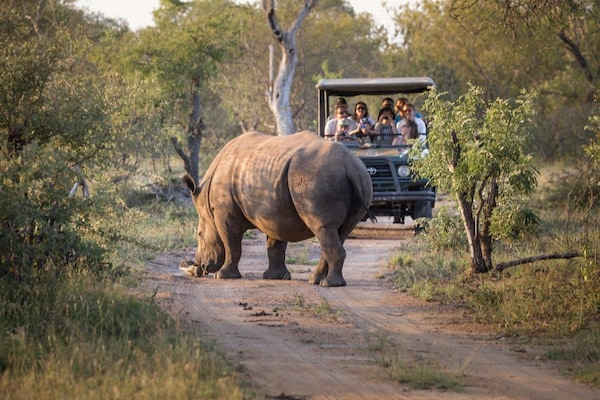 Tshukudu Game Lodge