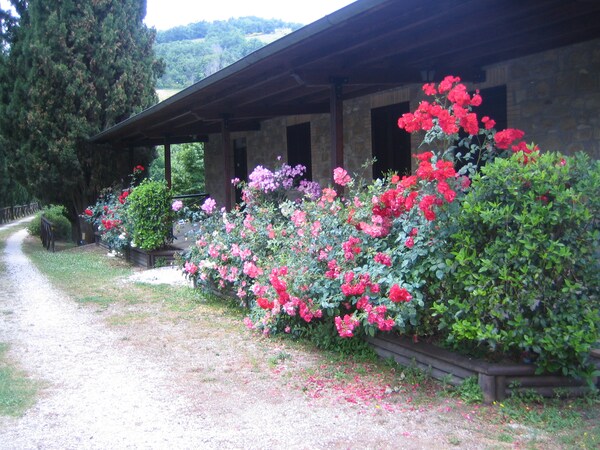 Borgo Sambuco