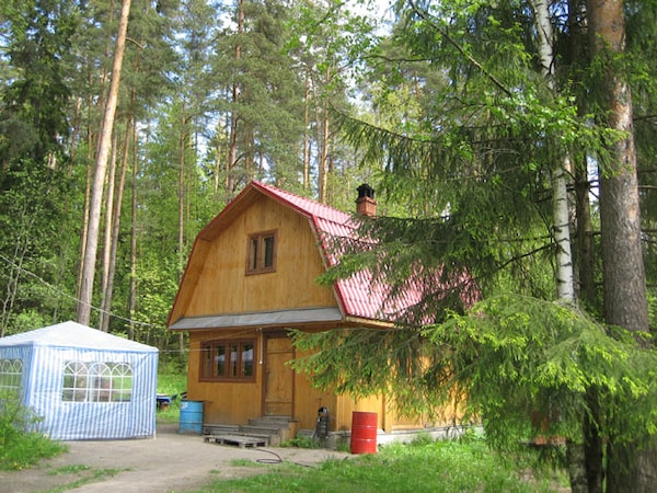 Lesogorskaya Resort