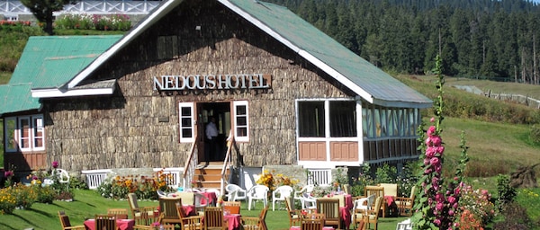 Hotel Nedous
