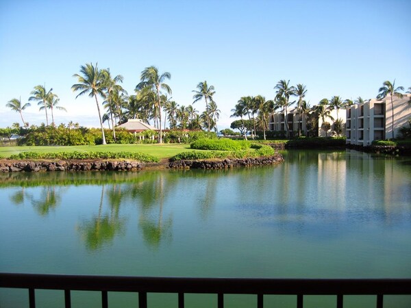 Luxury Condo At The Mauna Lani Resort With Ocean Views, Beaches, Golf, And More