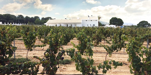 Casa Boquera Hotel  & Winery