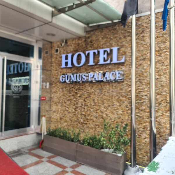 Gumus Palace Hotel