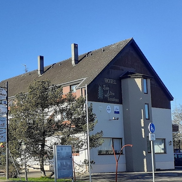 Land-gut-Hotel Zum alten Forsthaus - Aufladestation für Elektroautos