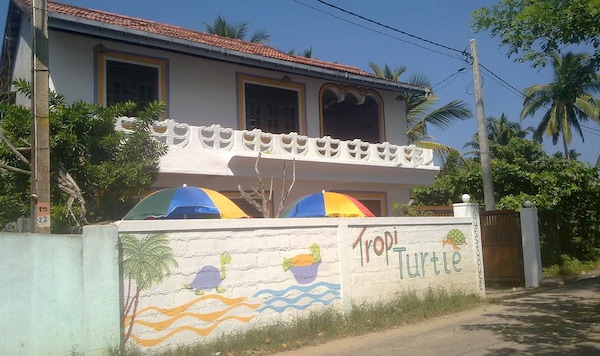 Tropiturtle Guesthouse