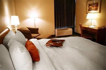 Hampton Inn Chicago-Carol Stream