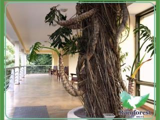Rainforest Hotel & Cabañas