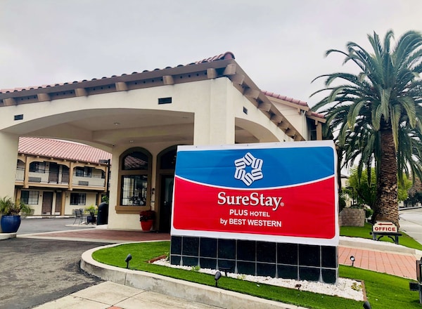 Surestay Plus By Best Western Silicon Valley