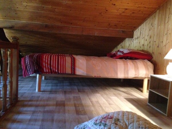 Small 40m2 cocooning chalet 2 bedrooms (2 or 3 people) MORZINE - Morzine