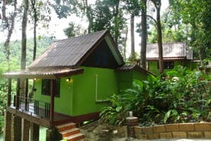 Khaosok Rainforest Resort