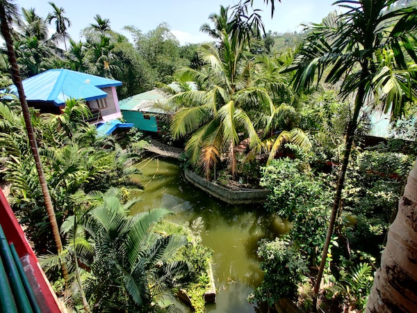 Palm Grove Eco Resort