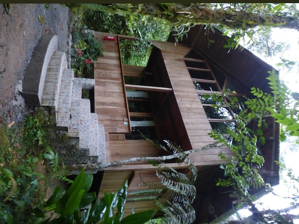 Casa Divina Cloudforest Retreat