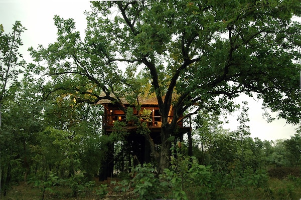 Pugdundee Safaris -Tree House Hideaway