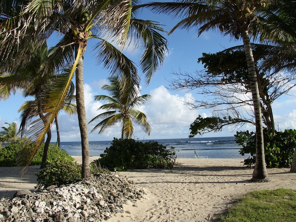 Palms At Pelican Cove