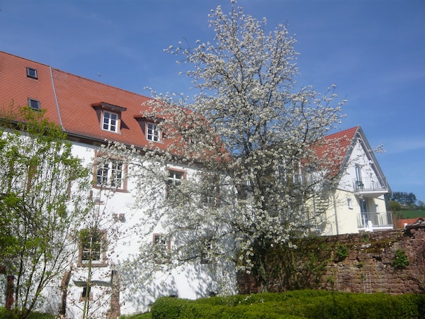 Rosenthaler Hof