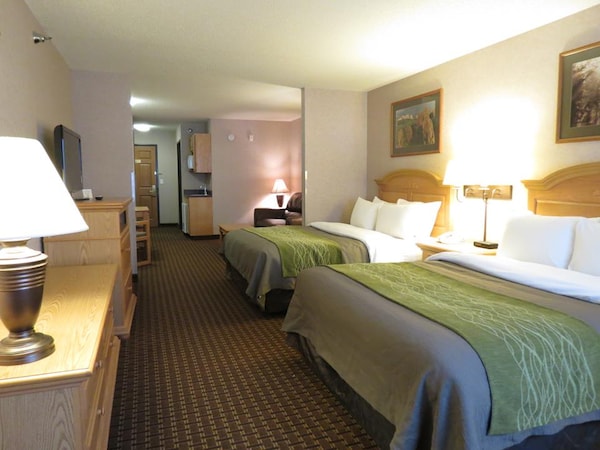 Comfort Inn & Suites Near Custer State Park And Mt Rushmore