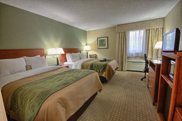 Comfort Inn Near Greenfield Village