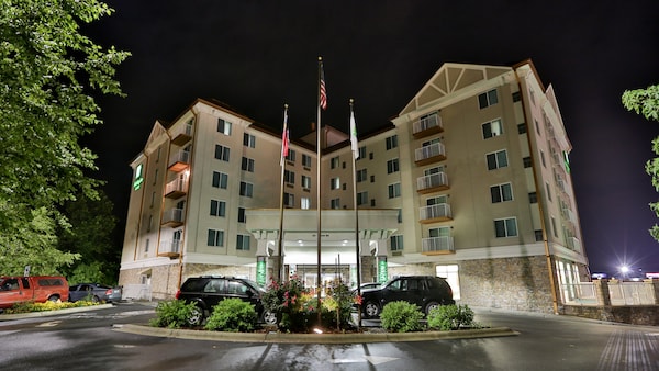 Holiday Inn Express & Suites Asheville Downtown, An Ihg Hotel