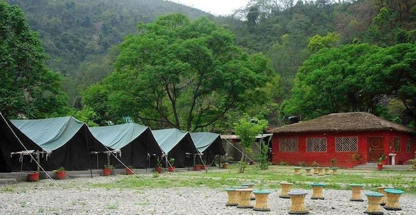 Jungle Retreat - Rishikesh