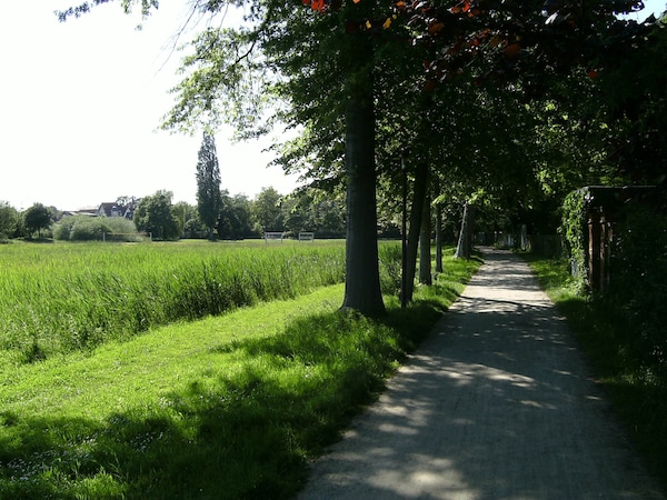 Leisewitz Garten