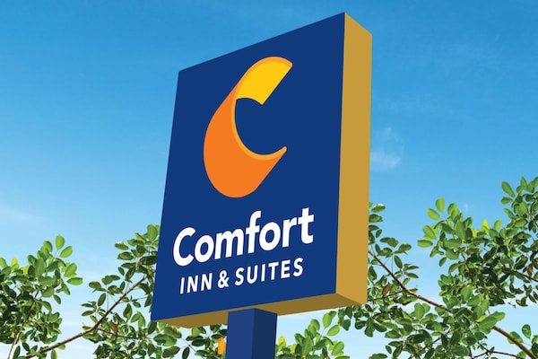 Comfort Inn& Suites Dallas-addison