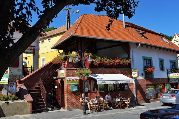 Vaskó Panzió Borpince