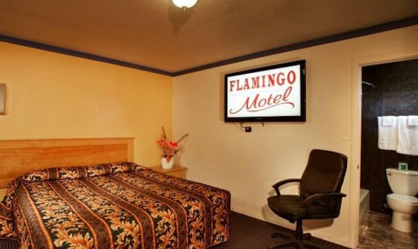 Flamingo Motel
