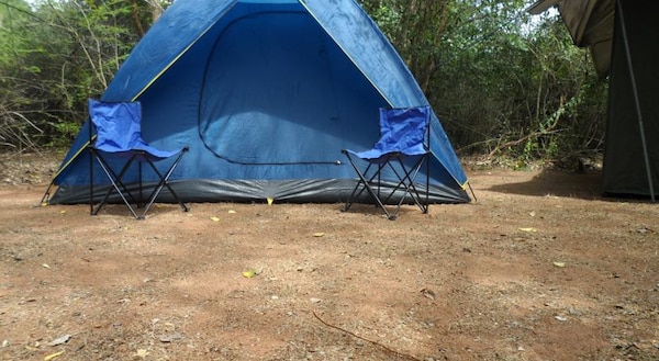 Camping Safari @ Udawalawe