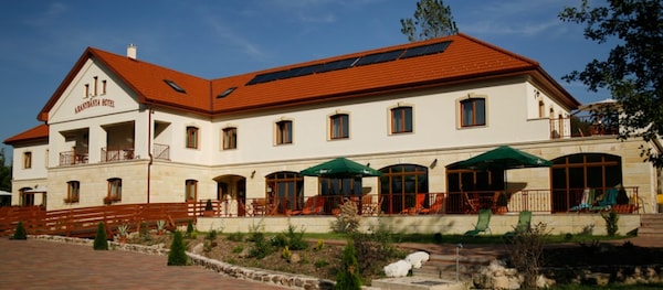 Aranybanya Hotel
