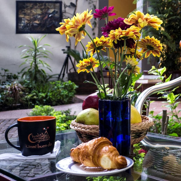 Chalet del Carmen, Coyoacan