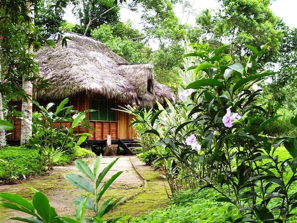 Hotel Suchipakari Jungle Lodge