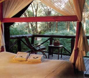 Samburu Intrepids Tented Camp