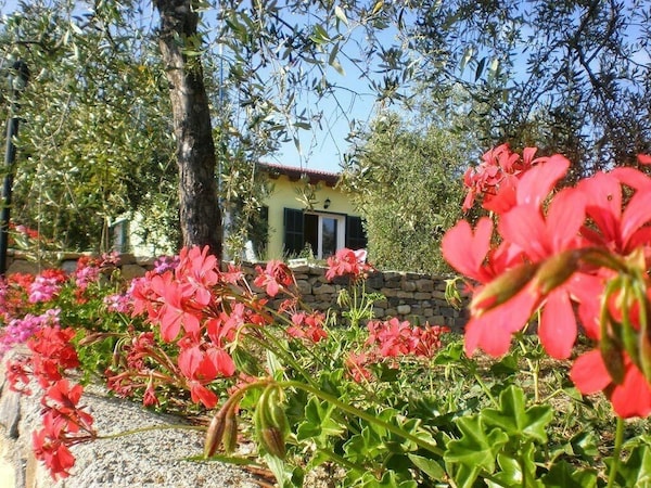 Agriturismo Grande Ulivo