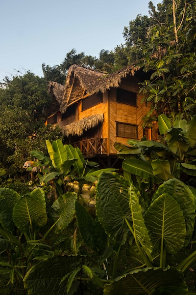 Unique Exotic Eco Hotel