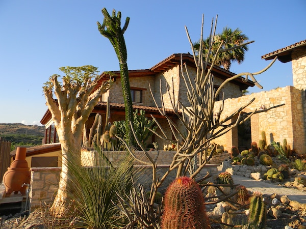Relais Garden Cactus