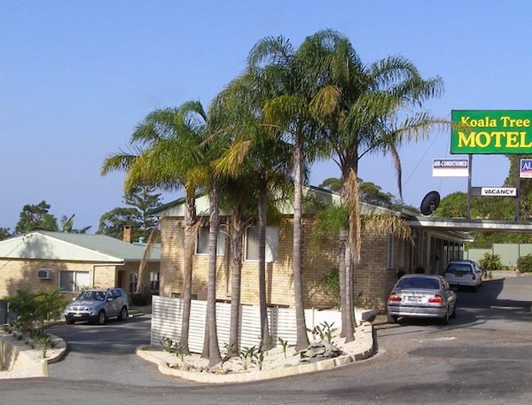 Koala Tree Motel